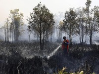 Rudiyansah, 16 tahun, mengenakan kostum Superman saat memadamkan api di area yang terdampak kebakaran hutan dan lahan di Palangka Raya, Provinsi Kalimantan Tengah, Jumat (14/8/2026). (REUTERS/Ajeng Dinar Ulfiana)