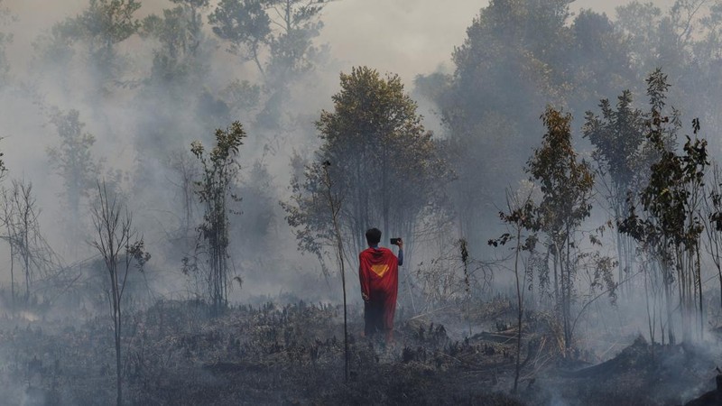 Rudiyansah, 16 tahun, mengenakan kostum Superman saat memadamkan api di area yang terdampak kebakaran hutan dan lahan di Palangka Raya, Provinsi Kalimantan Tengah, Jumat (14/8/2026). (REUTERS/Ajeng Dinar Ulfiana)