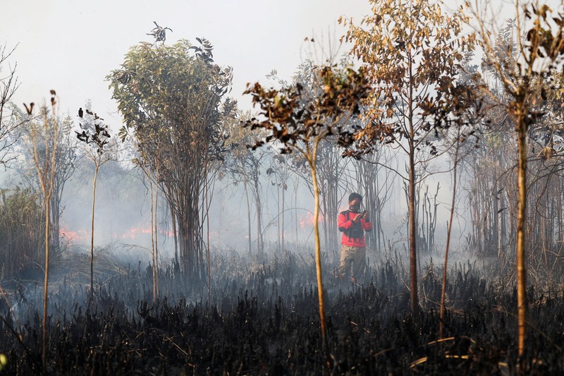 Rudiyansah, 16 tahun, mengenakan kostum Superman saat memadamkan api di area yang terdampak kebakaran hutan dan lahan di Palangka Raya, Provinsi Kalimantan Tengah, Jumat (14/8/2026). (REUTERS/Ajeng Dinar Ulfiana)