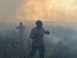 Kebakaran Masih Terjadi di Way Kambas