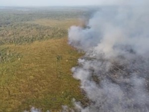 Taman Nasional Way Kambas Terbakar Lagi