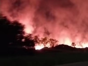 Video: Kebakaran Melalap 2 Hektare Lahan Kosong di Tallasa City Makassar