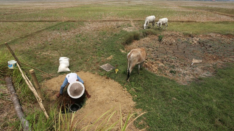 Kemarau panjang membuat warga Cibarusah kesulitan mendapatkan air. Debit Sungai Cipamingkis terus menipis, sementara warga harus berjuang memenuhi kebutuhan sehari-hari. (Dok. Detikcom/Ari Saputra)