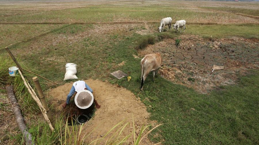 Kemarau panjang membikin penduduk Cibarusah kesulitan mendapatkan air. Debit Sungai Cipamingkis terus menipis, sementara penduduk kudu berjuang memenuhi kebutuhan sehari-hari.