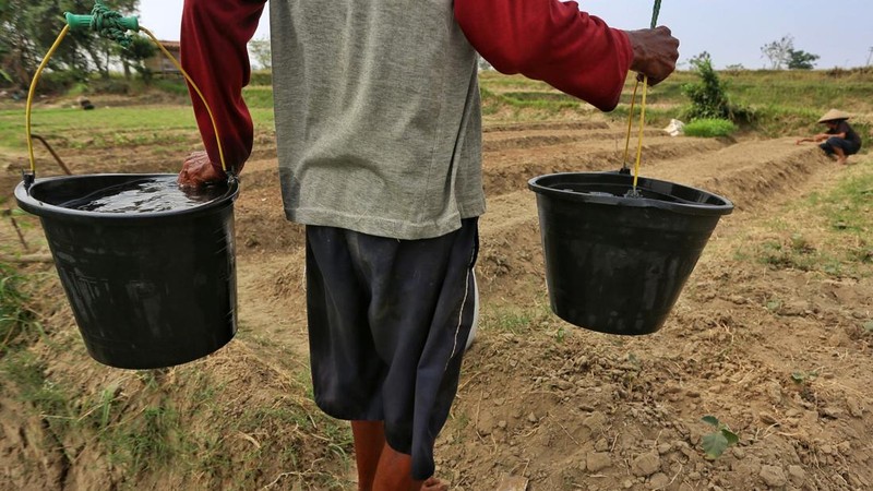 Kemarau panjang membuat warga Cibarusah kesulitan mendapatkan air. Debit Sungai Cipamingkis terus menipis, sementara warga harus berjuang memenuhi kebutuhan sehari-hari.
