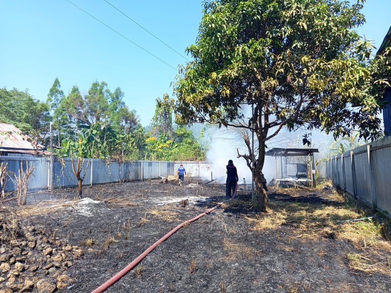 Kondisi dan upaya penanganan kebakaran lahan di Kabupaten Nabire, Papua Tengah, Minggu (23/8). (BPBD Kabupaten Nabire)