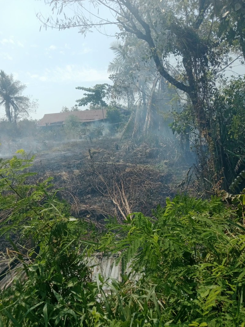 Kondisi dan upaya penanganan kebakaran lahan di Kabupaten Nabire, Papua Tengah, Minggu (23/8). (BPBD Kabupaten Nabire)