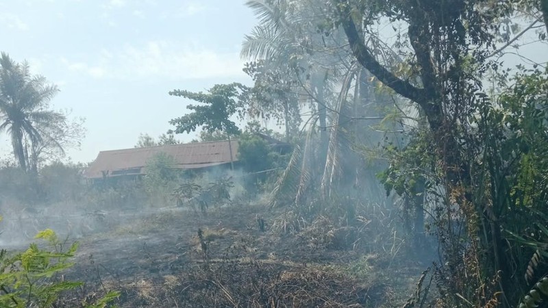 Kondisi dan upaya penanganan kebakaran lahan di Kabupaten Nabire, Papua Tengah, Minggu (23/8). (BPBD Kabupaten Nabire)
