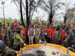 Menhut Minta Tak Buka Lahan dengan Dibakar: Bukan Tak Peduli Kearifan Lokal