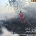 Upaya pemadaman karhutla oleh satgas darat di wilayah Kalimantan Tengah, Minggu (23/8). (Dok. Daops Manggala Agni Kalimantan III)