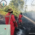Upaya pemadaman karhutla oleh satgas darat di wilayah Kalimantan Tengah, Minggu (23/8). (Dok. Daops Manggala Agni Kalimantan III)