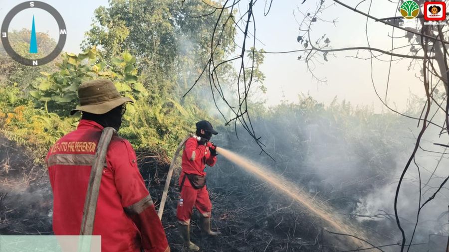 Upaya pemadaman karhutla oleh satgas darat di wilayah Kalimantan Tengah, Minggu (23/8). (Dok. Daops Manggala Agni Kalimantan III)