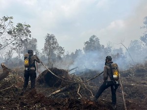 Tembus Asap Karhutla Kampar, Brimob Polda Riau Dilengkapi Breathing Apparatus