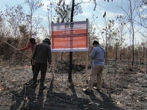 Karhutla Berulang, Izin PT MPK di Kalbar Dibekukan-Terancam Dicabut
