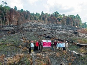Karhutla Bakar 70,38 Hektare, PT NES di Kalteng Kena Sanksi Kemenhut