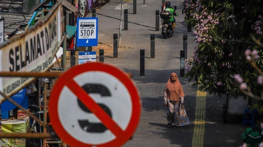 Sejumlah warga melintas diantara tanaman tabebuya yang bermekaran di Jakarta. (Detikcom/Pradita Utama)