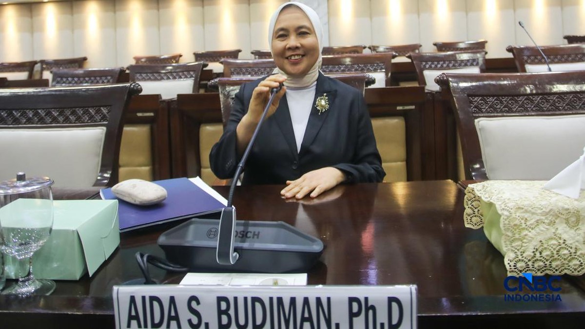 DPR Pilih Aida Jadi DGS BI dan Solikin M. Juhro Deputi Gubernur