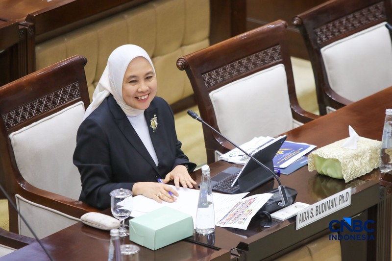 Calon Deputi Gubernur Senior Bank Indonesia (BI), Aida S. Budiman saat menjalani Uji Kelayakan atau Fit and Proper Test di Gedung DPR/MPR RI, Jakarta, Rabu (26/8/2026). (CNBC Indonesia/Faisal Rahman)