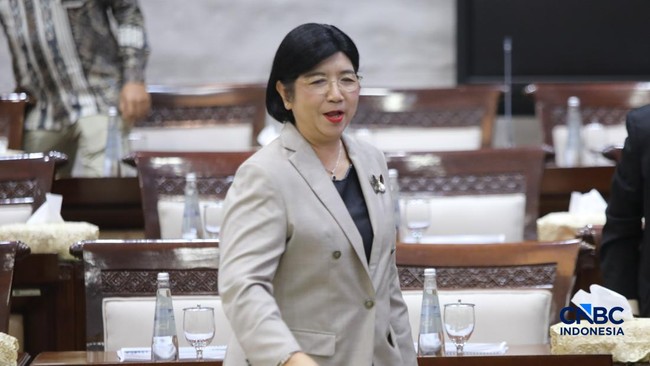 Depan DPR, Destry Beberkan Rumus '3I dan 1S' Jika Terpilih Pimpin BI