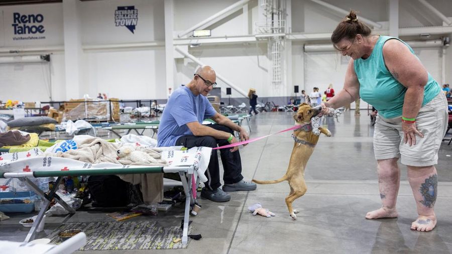 David Kuns dan Karen Abbey bersama anjing mereka, Willow, di Reno-Sparks Convention Center setelah mengungsi dari rumah mereka di Cold Springs pada 22 Agustus akibat kebakaran hutan Hawk, di Reno, Nevada, AS, 24 Agustus 2026. (REUTERS/Nikki Ritcher)