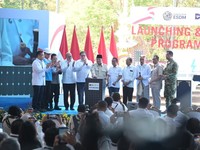 Dok PLN