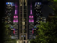 Empire State Building diterangi cahaya merah muda sebagai penghormatan kepada Dolly Parton setelah pengumuman kematiannya pada usia 80 tahun, di New York City, AS, Selasa (25/6/2026). (REUTERS/Jeenah Moon)