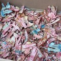 Ngenes! Uang Rp228 Juta Dimakan Tikus, Padahal Ditabung Buat Beli Emas