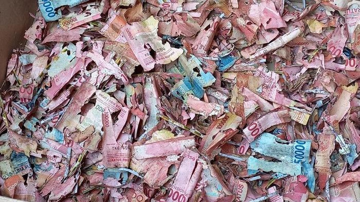 Ngenes! Uang Rp228 Juta Dimakan Tikus, Padahal Ditabung Buat Beli Emas