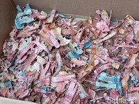 Ngenes! Uang Rp228 Juta Dimakan Tikus, Padahal Ditabung Buat Beli Emas