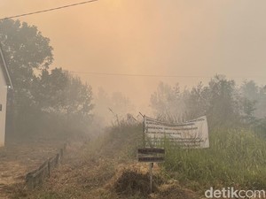 Ini yang Terjadi Pada Tubuh Jika Menghirup Asap Karhutla, Efeknya ke Paru sampai Jantung