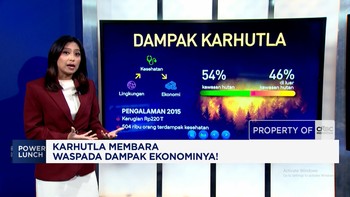 Karhutla Membara, Waspada Dampak Ekonominya!