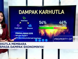 Karhutla Membara, Waspada Dampak Ekonominya!
