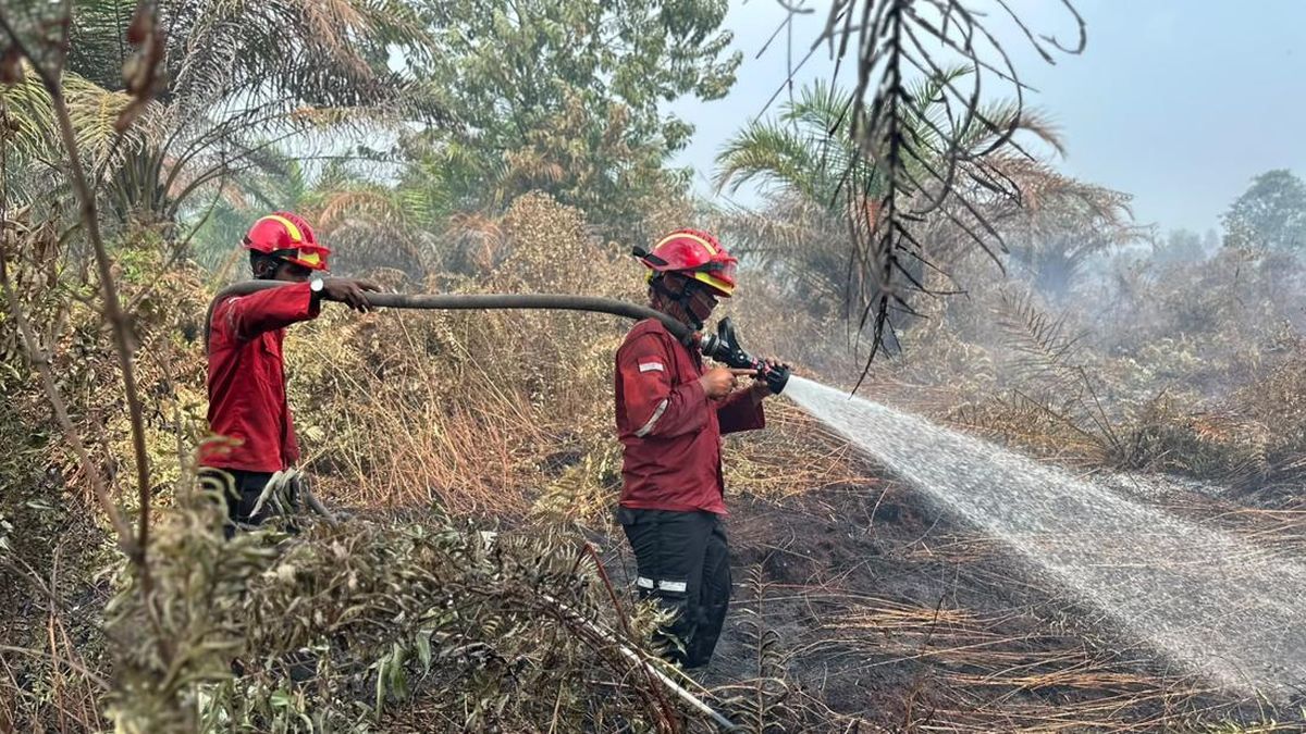Pemprov Riau Ungkap Kolaborasi Lintas Sektor Tangani Karhutla