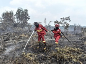 Masih Ada Hotspot Karhutla di 6 Provinsi, BMKG Lakukan Modifikasi Cuaca