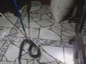Desis Ular Kobra Jawa di Rumah Guru Ngaji Kuningan