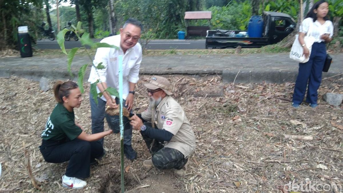 Reforestasi Hutan Lindung Pura Luhur Batukaru, Ratusan Pohon Ditanam