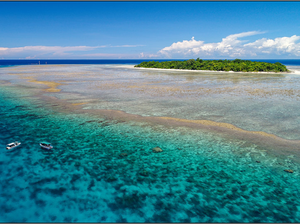 Eksotisme Pasir Putih dan Penyu Hijau di Pulau Sangalaki Kaltim