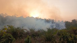 Fenomena yang Perlu Diwaspadai Usai Karhutla, Riset: Lonjakan Kadar Arsenik di Sungai