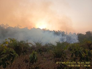 Fenomena yang Perlu Diwaspadai Usai Karhutla, Riset: Lonjakan Kadar Arsenik di Sungai