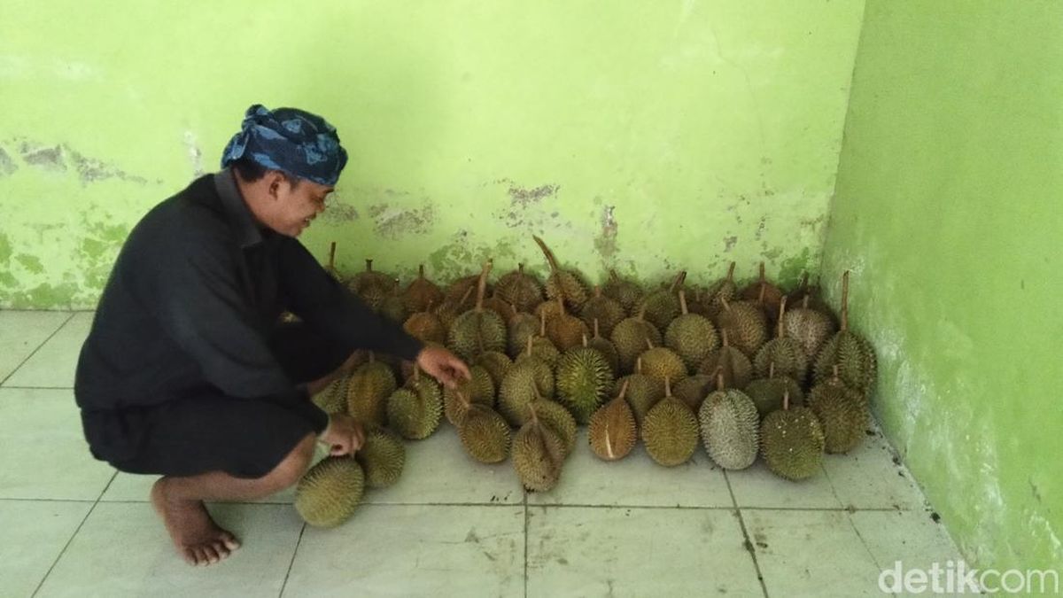Musim Durian Tiba, Saatnya Menjelajah Baduy