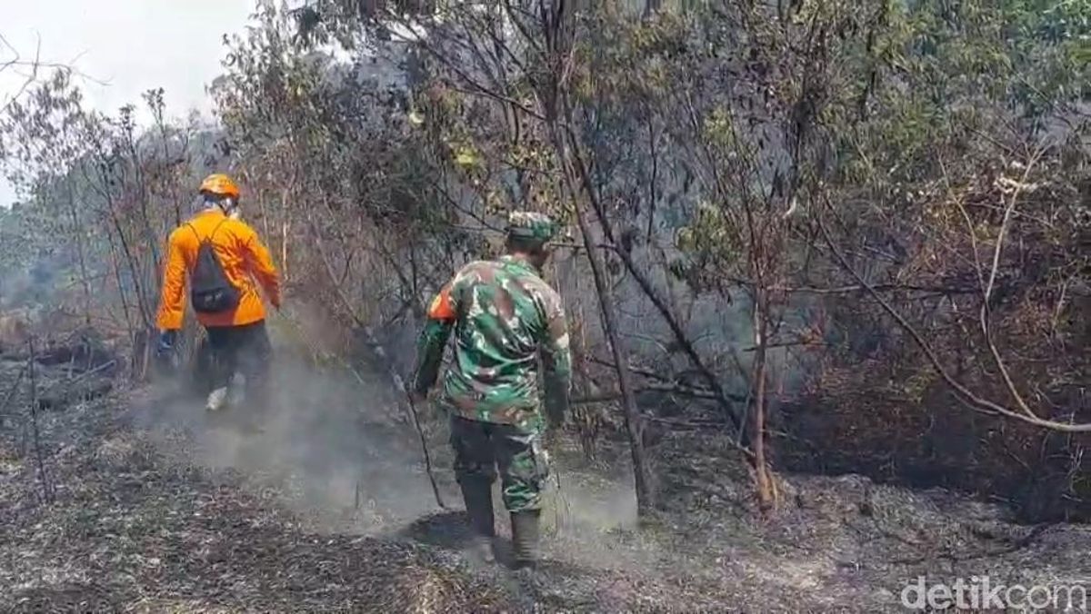 Sumber Air Jadi Kendala Upaya Pemadaman Gunung Semeru