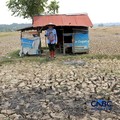 Kekeringan lahan pertanian di Jonggol, Kab Bogor, Jawa Barat, Kamis, (27/8/2026). (CNBC Indonesia/Muhammad Sabki)