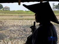 Kekeringan lahan pertanian di Jonggol, Kab Bogor, Jawa Barat, Kamis, (27/8/2026). (CNBC Indonesia/Muhammad Sabki)