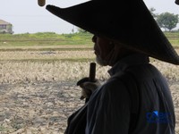 Kekeringan lahan pertanian di Jonggol, Kab Bogor, Jawa Barat, Kamis, (27/8/2026). (CNBC Indonesia/Muhammad Sabki)