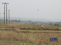 Kekeringan lahan pertanian di Jonggol, Kab Bogor, Jawa Barat, Kamis, (27/8/2026). (CNBC Indonesia/Muhammad Sabki)
