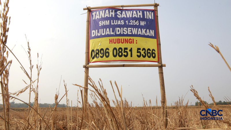 Kekeringan lahan pertanian di Jonggol, Kab Bogor, Jawa Barat, Kamis, (27/8/2026). (CNBC Indonesia/Muhammad Sabki)