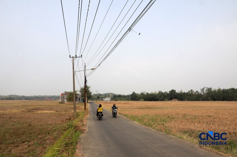 Kekeringan lahan pertanian di Jonggol, Kab Bogor, Jawa Barat, Kamis, (27/8/2026). (CNBC Indonesia/Muhammad Sabki)