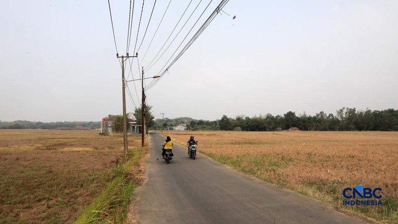 Kekeringan lahan pertanian di Jonggol, Kab Bogor, Jawa Barat, Kamis, (27/8/2026).