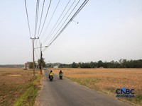Kekeringan lahan pertanian di Jonggol, Kab Bogor, Jawa Barat, Kamis, (27/8/2026). (CNBC Indonesia/Muhammad Sabki)