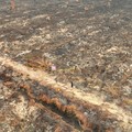 KLH/BPLH Terjunkan Ratusan Pengawas Usut Empat Puluh Dua Perusahaan Terduga Pembakar Lahan di Sumatera dan Kalimantan. (Dok. Kementerian KLH/BPLH)